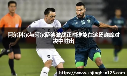 必一体育注册登录